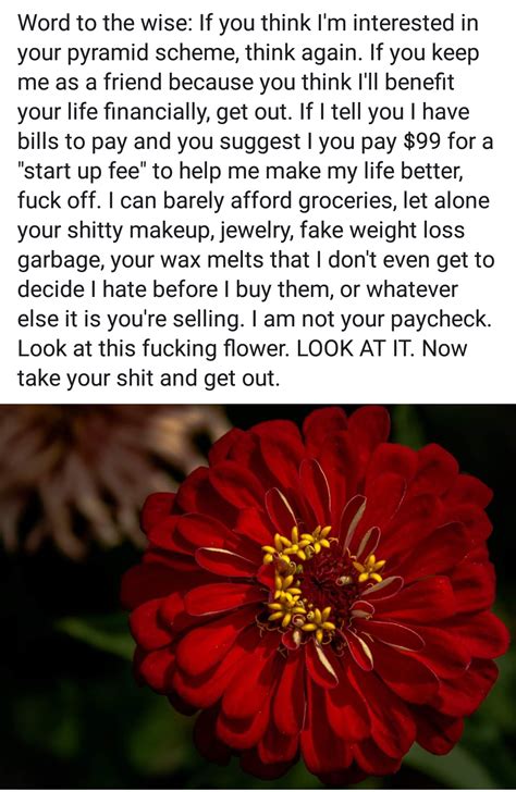 What ailment does your product/service cure? My rant on MLMs, after posting for extra work because I needed grocery money, and several ...