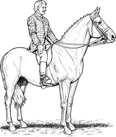 How to draw a realistic horse standing. Coloring Pages Of Horses Printable | Free Coloring Sheets