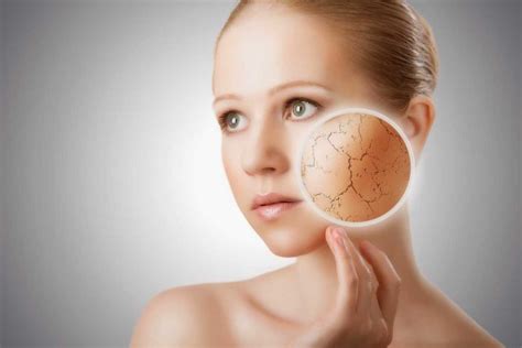 Bagi anda pemilik kulit kering, memang dibutuhkan cara merawat kulit kering atau kulit wajah singkirkan kosmetik yang mengandung retinol dan turunannya dari ritual kecantikan (banyak mengeringkan kulit). Cara Mengatasi Kulit Wajah Kering Dan Berkeriput - SIMOMOT
