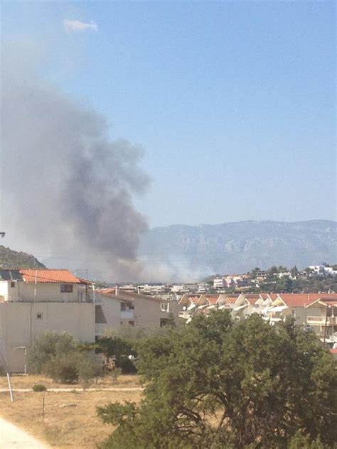 Θα πρέπει να δηλώσω το κατάλυμα που θα επιλέξω από τώρα? Συμβαίνει τώρα:Φωτιά στις Κεχριές Κορινθίας » loutrakiblog