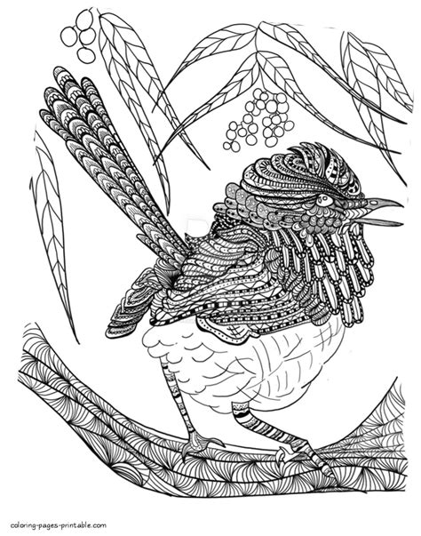 38+ robin bird coloring pages for printing and coloring. Robin Bird Coloring Pages - Coloring Home