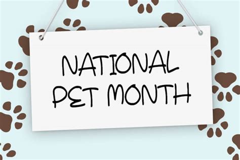 Find the best company for your pet. National Pet Month Sweepstakes: Win $150 Gift Card ...