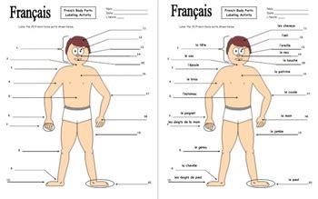 Detox these organs regularly to live a healthy life. French Body Parts Diagram to Label with 20 Body Parts ...