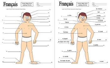 Skull, temple, ear, forehead, face, adam's apple , shoulder, nipple, breast, armpit, thorax, navel, abdomen, pubis, groin, knee, foot, toe, ankle, instep. French Body Parts Diagram to Label with 20 Body Parts ...