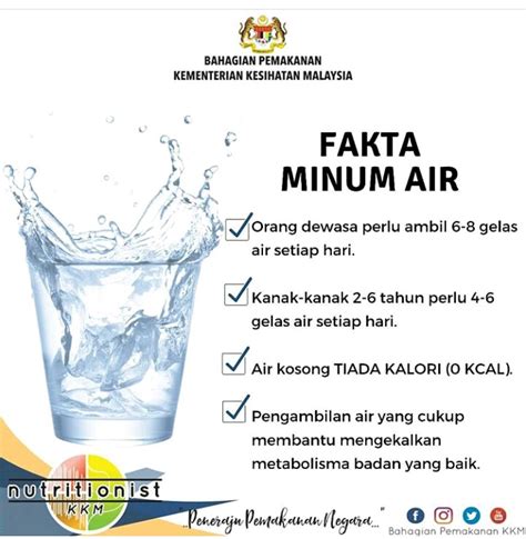 Minum air putih selepas bangun tidur boleh membantu cegah batu ginjal. Kenapa Perlu Minum Air Kosong Dengan Cukup?