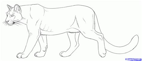 Also, complete your drawing by adding a background and giving your bird something to perch on. Cougar Drawing Mountain Lion - Get Coloring Pages