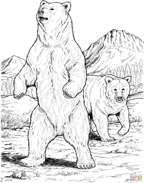 Free realistic grizzly bear animal printable coloring pages download. Two Black Bears coloring page | Free Printable Coloring Pages