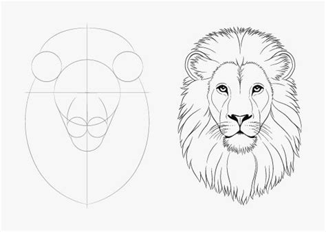 .zeichnen für anfänger, leicht / drawing lion time lapse lion king simba. Easy Drawing Tutorials for Beginner in 2020 | Löwe ...