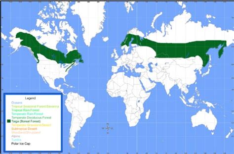 Japanese map symbol coniferous trees clip art. Coniferous Forest Map | World Map 07