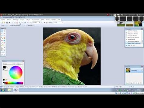 Tuto vidéo : Rogner une image avec Paint.NET - YouTube