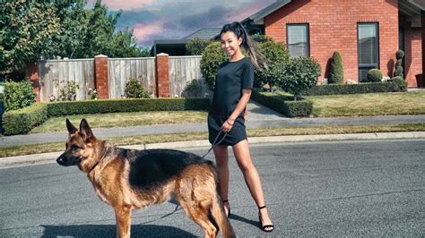 Check spelling or type a new query. Day in the Life of a German Shepherd - YouTube