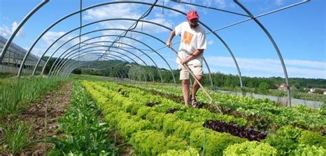 During 2011, noorazimah taharim (mak tam) and salehuddin yahya have facilitated numerous sri trainings and presentations in malaysia in the. Possibilities of Improving Organic Farming in Turkey