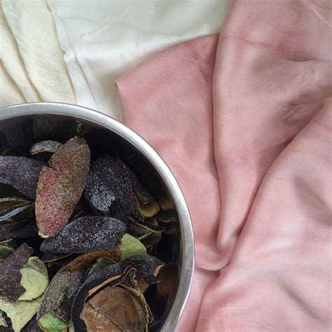 Now the avocado dye is ready to use. Natural Shades of Pink :: Dyeing Fabric with Avocado Skins ...