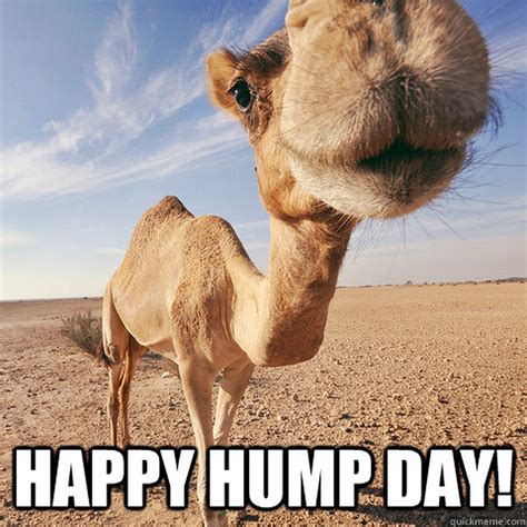 Happy hump day camel on wednesday cartoon. Team Hump Day - Week Five