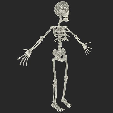Some elements on separate l. 3d cartoon skeleton