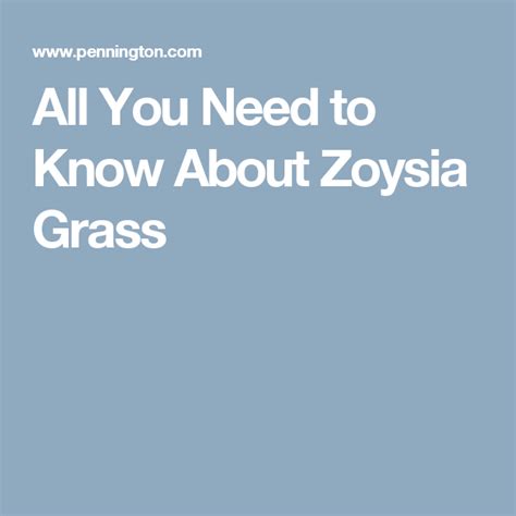 Commonly called zoysia for short, it is popular throughout the transition zone and is often viewed as a status symbol for home lawns. All You Need to Know About Zoysia Grass | Zoysia grass ...