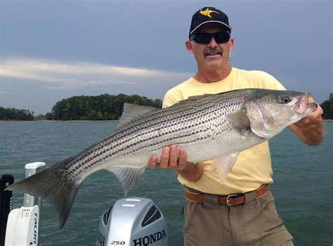 Lake lanier fishing guide service. Lake Lanier Fishing Report September 11 2015 | Captain Mack's