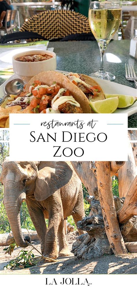 Check spelling or type a new query. San Diego Zoo Restaurants: Best Places to Eat Now & Food ...