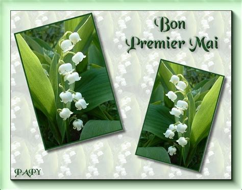 Faites livrer un bouquet de muguet des bois et envoyez du bonheur à vos proches pour le 1er mai ! Le muguet