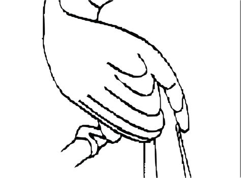 Click the following link to download a pdf and print the page for some cute bird coloring fun: Toucan Bird Coloring Pages at GetDrawings | Free download