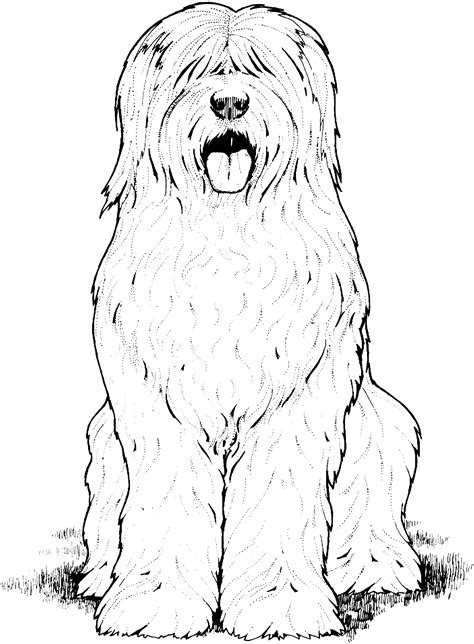 View and print full size. Dog Breed Coloring Pages