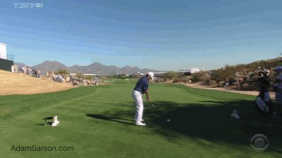 Discover and share the best gifs on tenor. Golf GIFs of the Week: February 2nd | AdamSarson.com