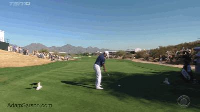 Brooks koepka has been on one of the most dominant stretches of golf in the past decade. Golf GIFs of the Week: February 2nd | AdamSarson.com