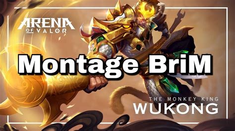 You can also download arena of valor: Arena of Valor | Wukong Montage BriM - YouTube