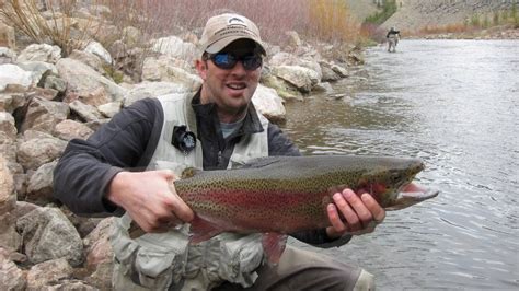 An elusive, but important characteristic of fly rods. Fly Fishing for Monster Colorado Tailwater Trout 2010 ...