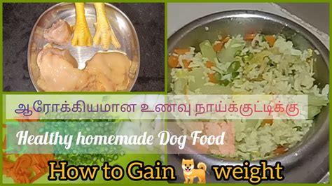 The famous atkins diet is actually ideal for cats. Healthy Homemade Dog Food- gaining weight ஆரோக்கியமான உணவு ...