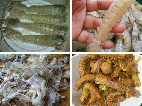 Carasiangudanglipan #caramasakudanglipan #udanglipan resepi udang lipan goreng tepung sangat senang untuk. Resepi Pemancing : Tip Menyiang & Menggoreng Udang Lipan ...