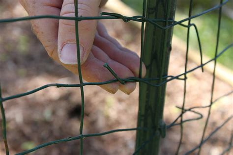 Heat is held better by wet soil than by dry soil, so thoroughly soaking the soil around tender vegetable plants when a. Ways to keep animals out of your garden: build a simple ...