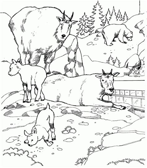 Free zoo coloring pages for children. Get This Online Zoo Coloring Pages for Children 80037