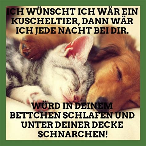 We did not find results for: Kuscheltier bei dir und im Bett schnarchen | Gute nacht ...