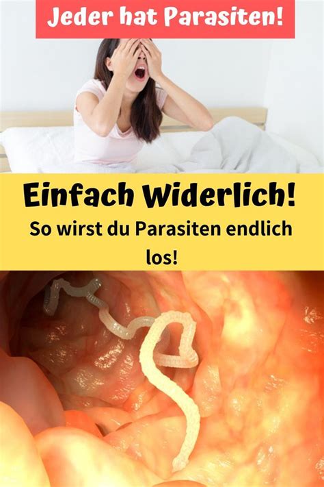 Diese wurmart verursacht vor allem bauchschmerzen oder verdauungsbeschwerden. Pin auf Schönheit