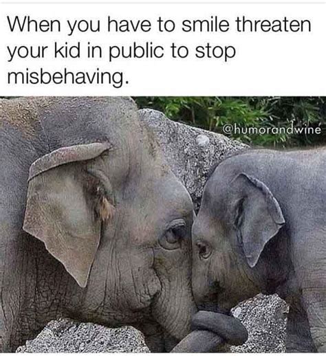 Look at our collection of sweet things to say to make your girlfriend happy and make her day better. 50 Funniest Animal Meme - Meme Central