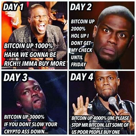 Just have fun here, have a little laugh at bitcoin remember this is just a subreddit for memes, don't get super serious about stuff, but don't. Pin by Memes R Us on Crypto World Memes | Online trading ...