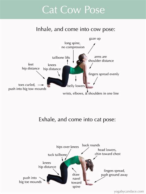 How to do cat and cow stretch for lower back pain and upper back pain. How to do Cat Cow Pose — YOGABYCANDACE