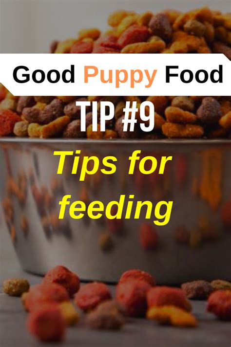 If you are not sure if your bowl is right, try a normal breakfast plate and see if your cat eats all and from it. Puppies can be pretty messy eaters — please don't put the ...
