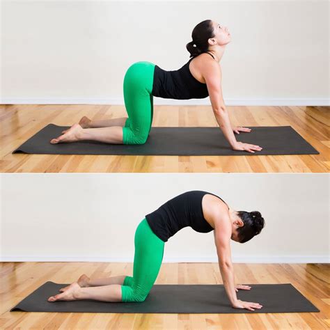 Round your back from an arched position as you pull in your abdominal muscles. Cat-Cow Pose | Five-Minute Yoga Sequence | POPSUGAR ...