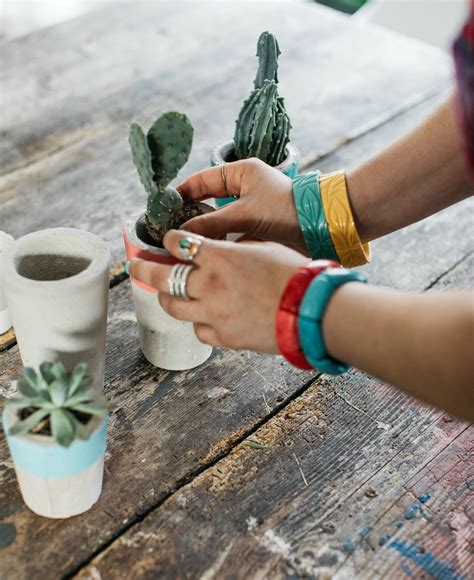 Pincushion cacti are found in many warm regions of the united states. Plants really DO make people happy... it ain't just a ...