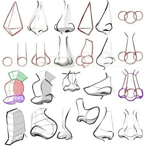 See more ideas about cartoon noses, cartoon. Pin by James Taylor on Noses | Nose drawing, Drawings, Cartoon noses