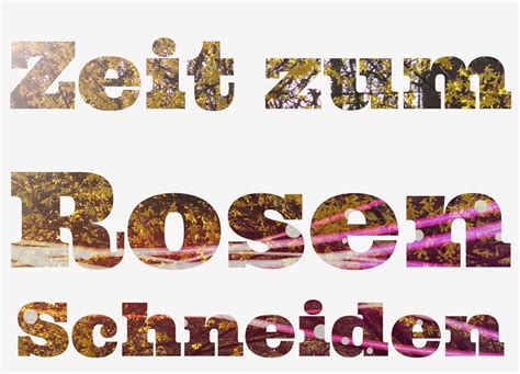 Um die pfingstrosen in strauchform auf den winter vorzubereiten schneiden sie diese stellen im frühjahr großzügig aus und lassen sie nur unversehrte knospen am trieb zurück. Zeit zum Rosen Schneiden - Balkonrosen Blog