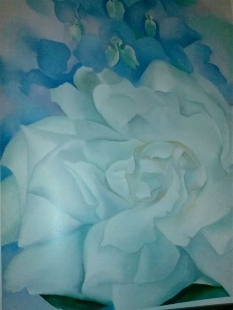 Final dimensions (width x height): Georgia O'Keeffe white rose with larkspur no 2 | White ...