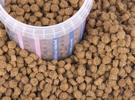 Dry dog food contains less than 11% water. How Much Dry Food Should I Feed My Dog? | Cuteness ...