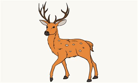 From this point, draw another line parallel to the first, again allowing it to diverge. How to Draw a Deer in a Few Easy Steps | Easy Drawing Guides