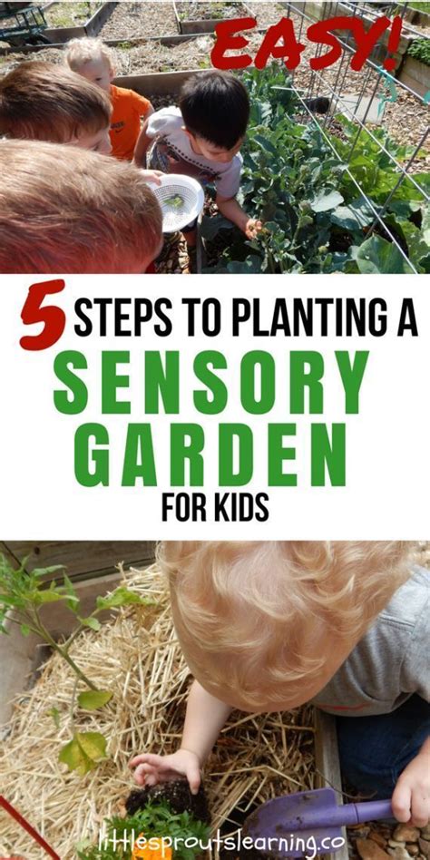 Outdoor recreation or outdoor activity refers to recreation engaged in out of doors, most commonly in natural settings. Easy! 5 Steps to Planting a Sensory Garden for Kids ...