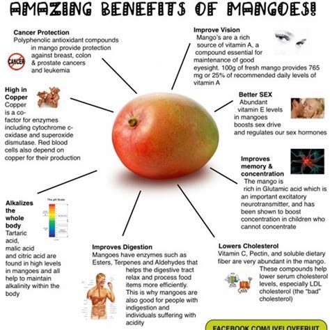 Availability of specific fruits and vegetables is impacted by the circumstances of the growing season, including frost, pests, and overall weather conditions. MY FAVORITE FRUIT: MANGO | A holistic approach to ...