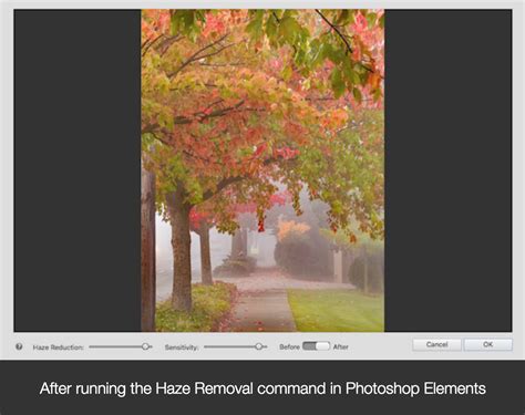 Photoshop cc has all the functions of photoshop cs6. Which Do You Need? Photoshop Elements vs. Photoshop CC