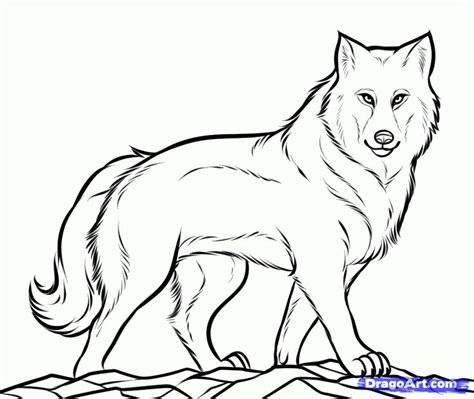 Wolf drawing how to draw a wolf with a moonlight night. Wolf Clipart Black And White | Free download on ClipArtMag